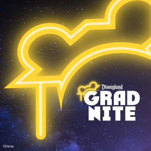 DisGradNite